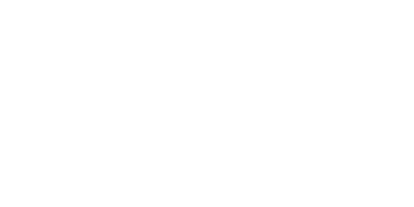 네이버페이 logo